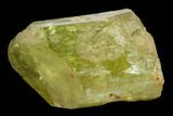 Gemmy, Yellow Apatite Crystal - Morocco #135391-1
